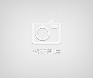 進口閥門、進口旋啟式止回閥、英國UK進口旋啟式止回閥、英國羅托克閥門